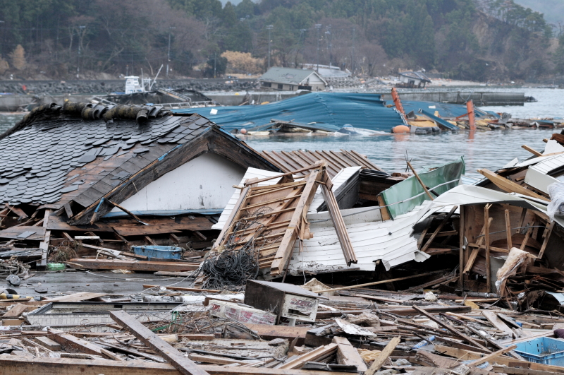 Study the skills needed to be part of a disaster response team