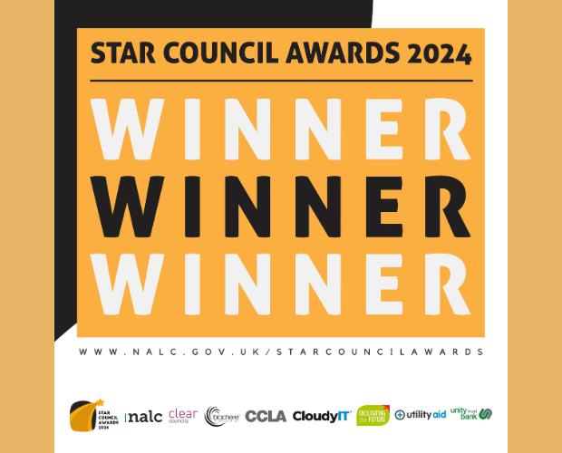 NALC Honors Top Achievers at Star Council Awards