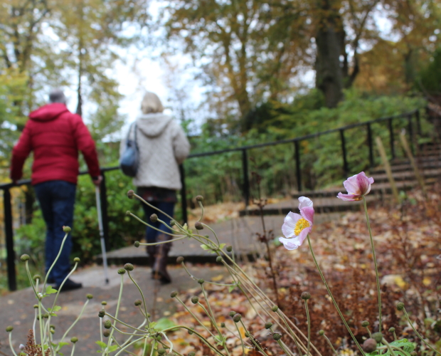 Support Choices flies the nest becoming a sustainable local advice service