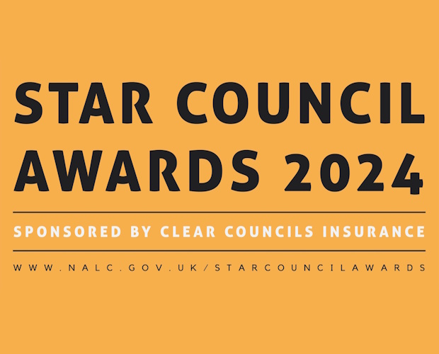 NALC Opens Nominations for Its Star Council Awards 2024