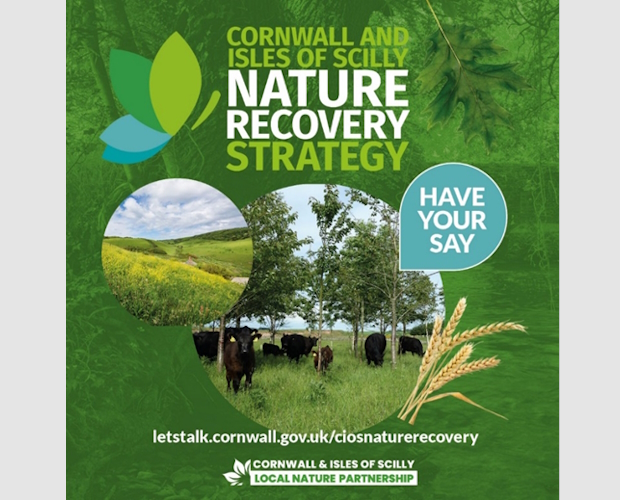 Cornwall and Isles of Scilly Nature Recovery Strategy: Seeking Your Input