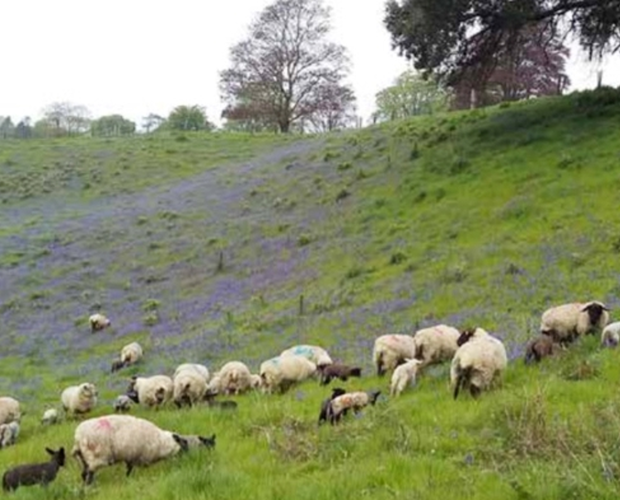 Farming community urges “Speak out to Help Out”