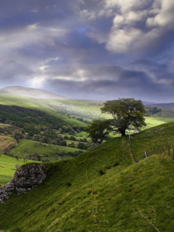 Where the wild things are - a ‘future natural’ countryside? 