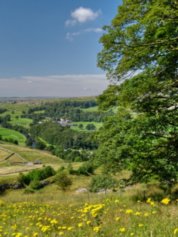 Call to end fly-grazing 'scourge'