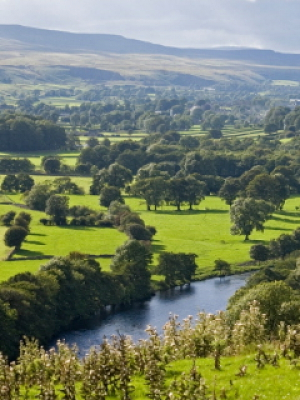 Rural-proofing response 'this autumn'