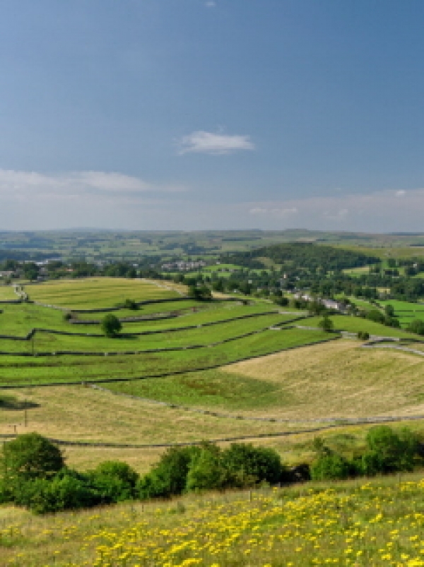 Fly-grazing law comes into effect